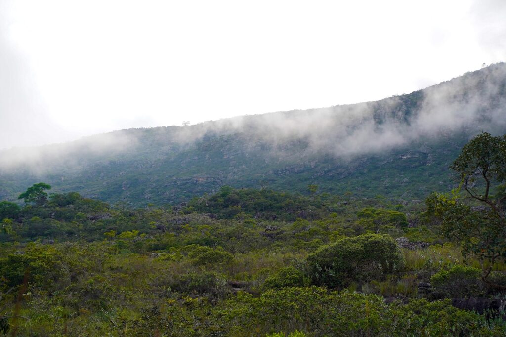Imagem mostra parque estadual em Minas Gerais.