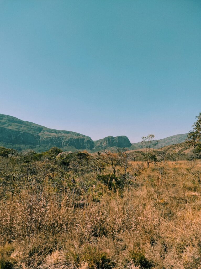 Imagem mostra vegetação típica da Serra do Cipó.