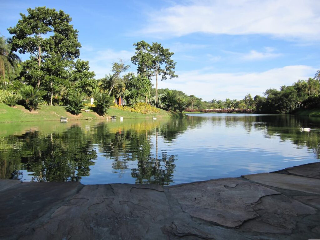 Imagem mostra lago no Instituto Inhotim em Brumadinho.